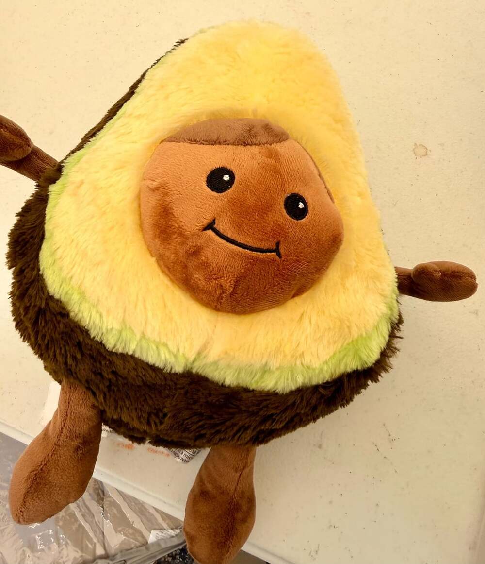 Warmies Avocado Plush Toy